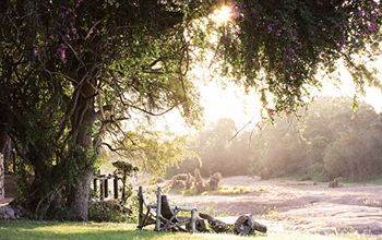 Motswari Private Game Reserve - Timbavati Klaserie Private Nature Reserve Exterior photo